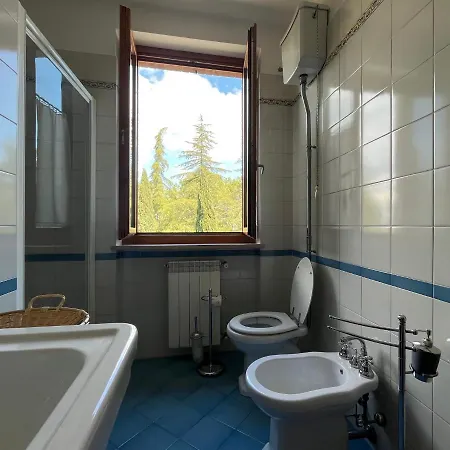 Pace Asciano